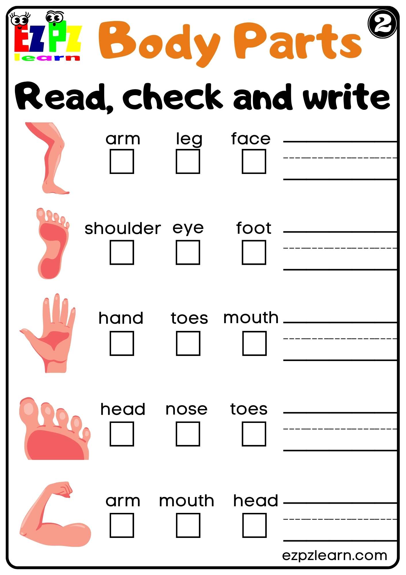 Body Parts Read Check and Write Worksheets for Kids and ESL PDF Download set 2